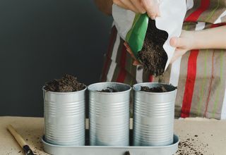 Como fazer uma hortinha doméstica prática com temperos funcionais